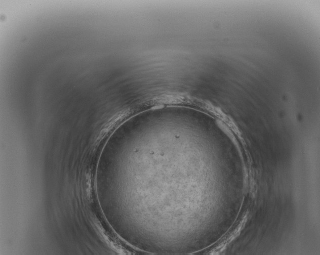 X0000068840057200605121417