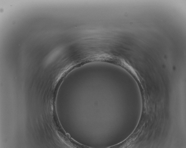 X0000068840059200605121417