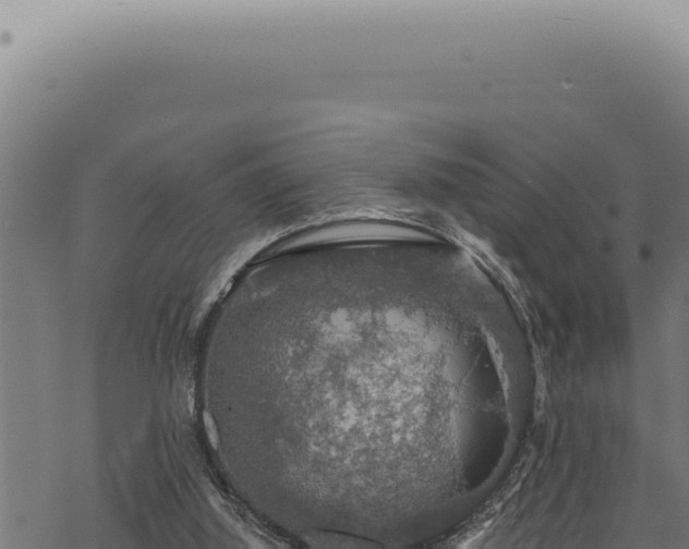 X0000068840060200605121417