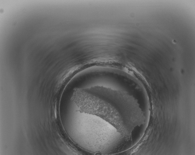 X0000068840062200605121417