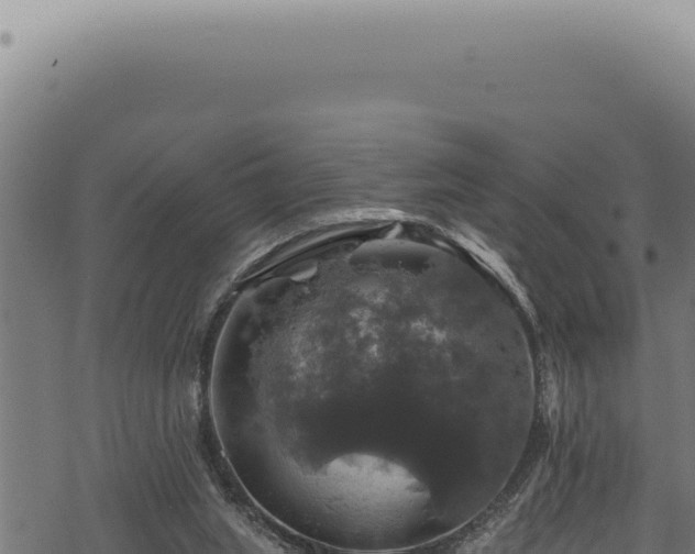 X0000068840063200605121417