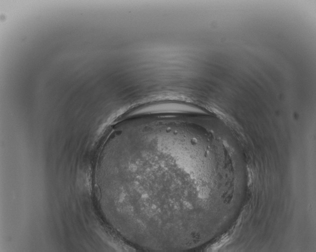 X0000068840064200605121417