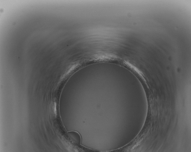 X0000068840067200605121417