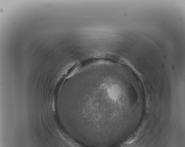 X0000068840068200605121417