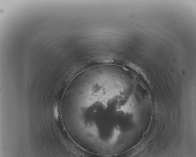 X0000068840069200605121417