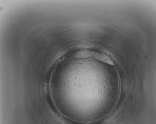 X0000068840071200605121417