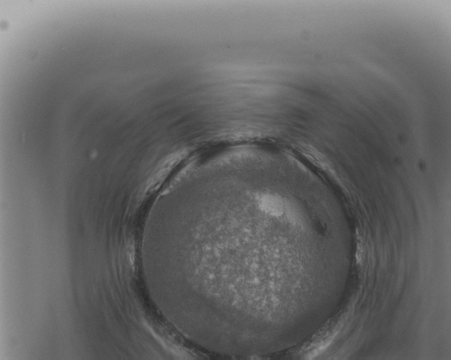 X0000068840072200605121417