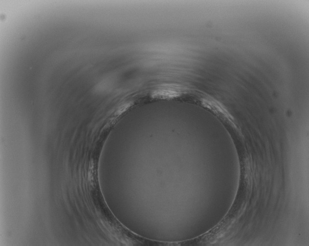 X0000068840073200605121417