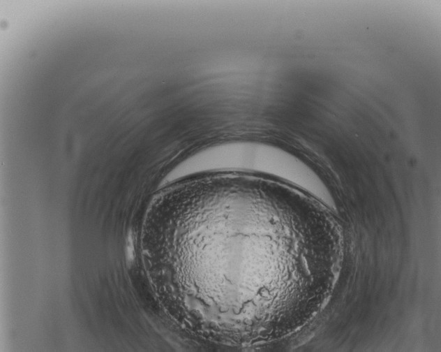 X0000068840075200605121417