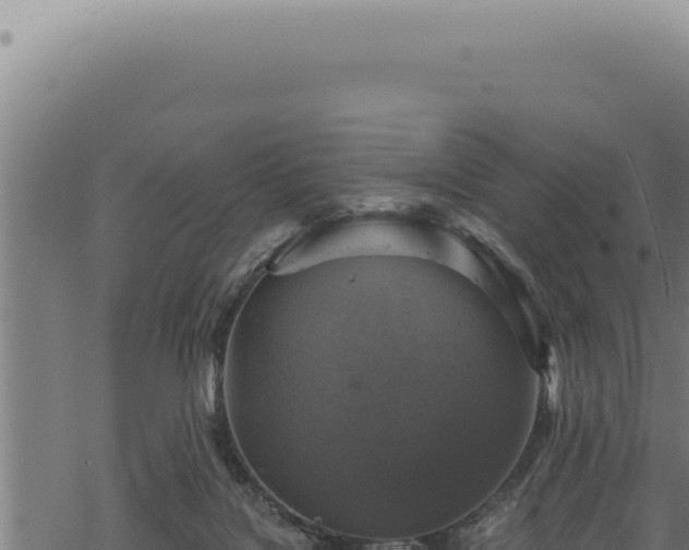 X0000068840076200605121417