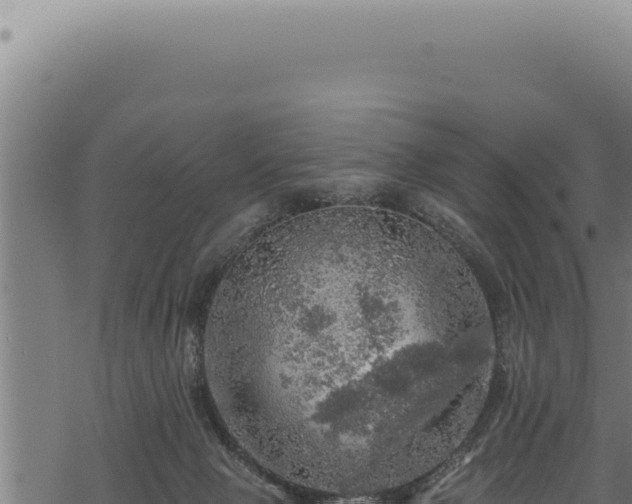 X0000068840077200605121417