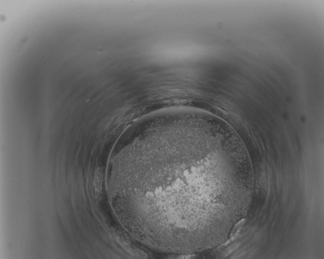 X0000068840078200605121417