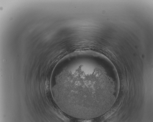 X0000068840081200605121417