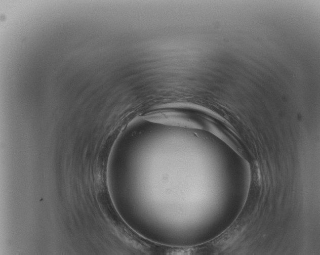 X0000068840084200605121417