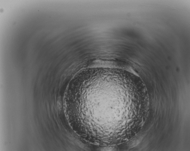 X0000068840085200605121417