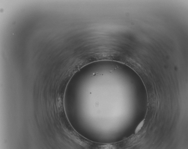 X0000068840087200605121417