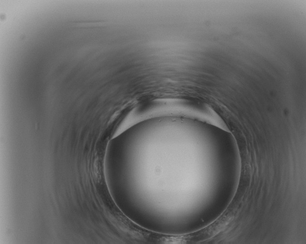 X0000068840088200605121417