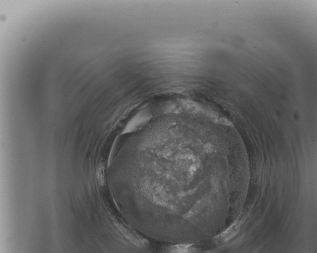 X0000068840090200605121417