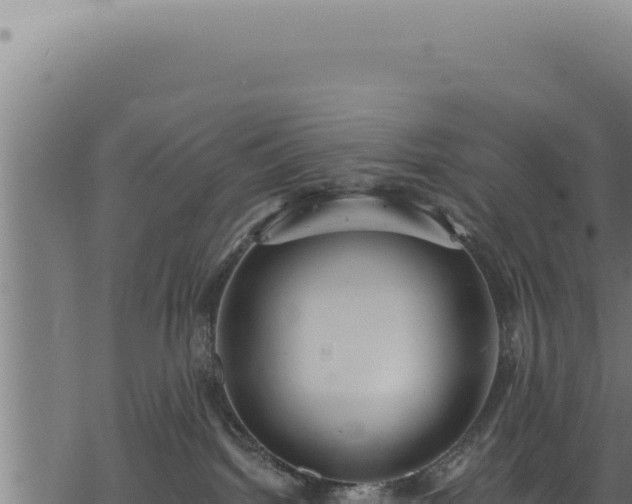 X0000068840092200605121417