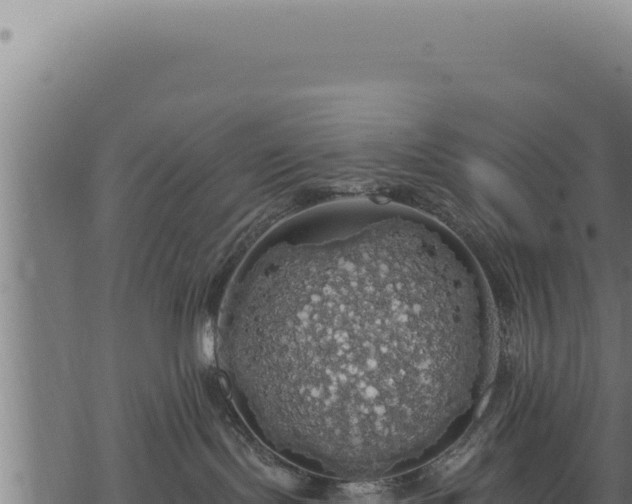 X0000068840095200605121417