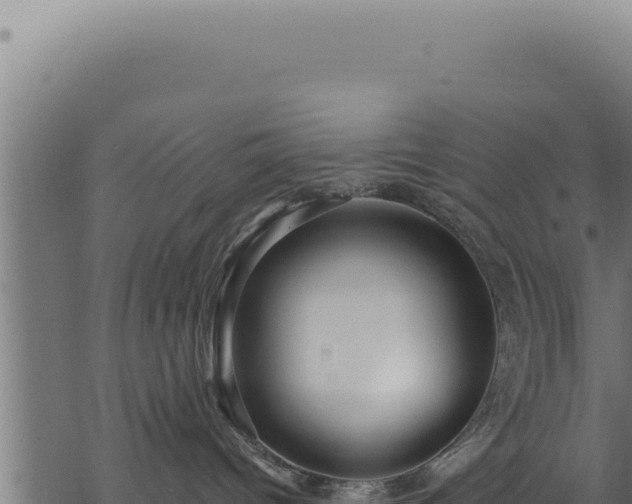 X0000068840096200605121417