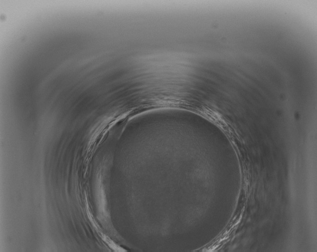 X0000068840097200605121417