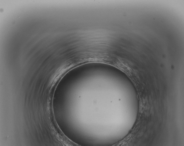 X0000068840098200605121417