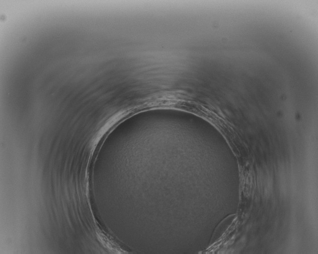 X0000068840100200605121417