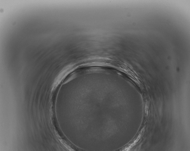 X0000068840101200605121417