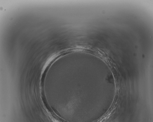 X0000068840102200605121417