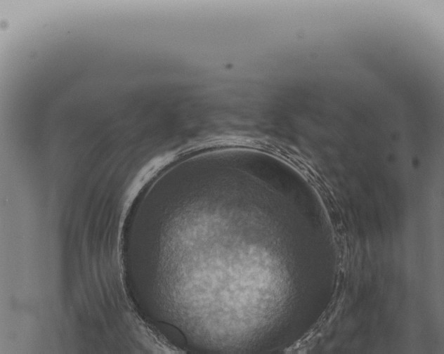 X0000068840104200605121417