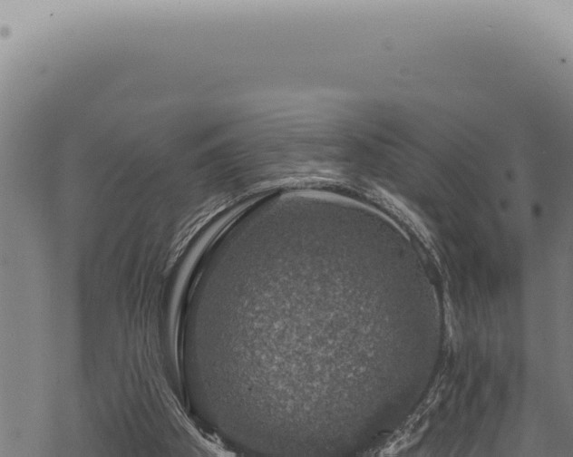 X0000068840105200605121417