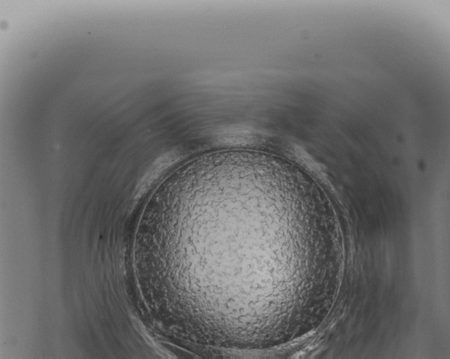 X0000068840106200605121416