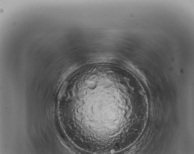 X0000068840107200605121416