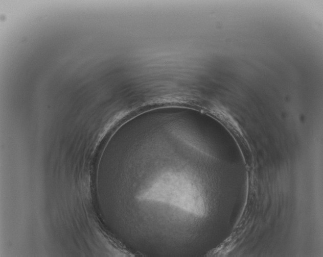 X0000068840108200605121416