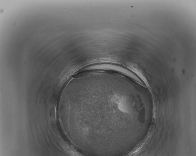 X0000068840109200605121416