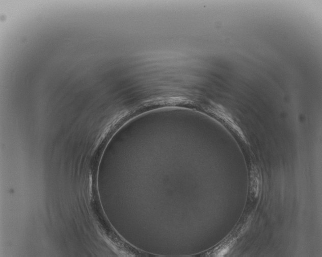 X0000068840110200605121416