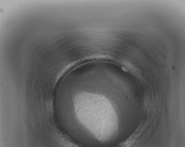 X0000068840112200605121416