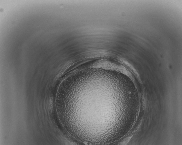 X0000068840113200605121416