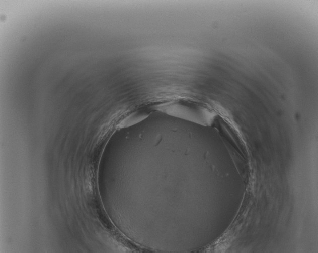 X0000068840114200605121416