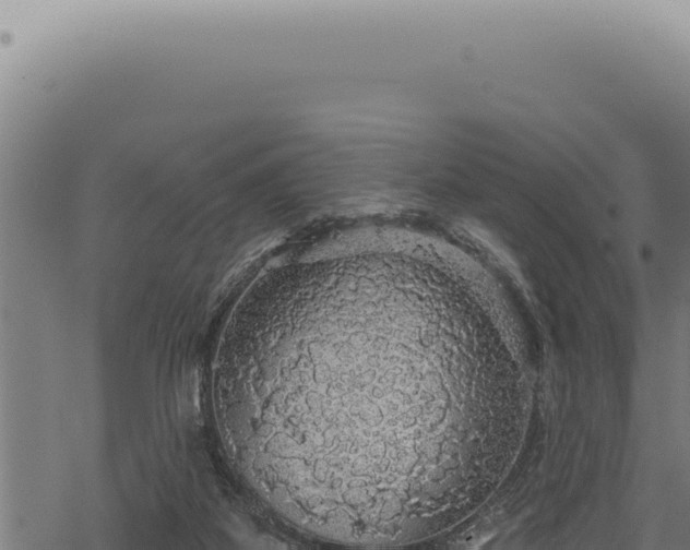 X0000068840115200605121416