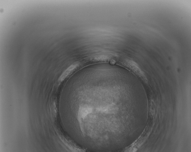 X0000068840116200605121416