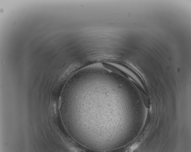 X0000068840117200605121416