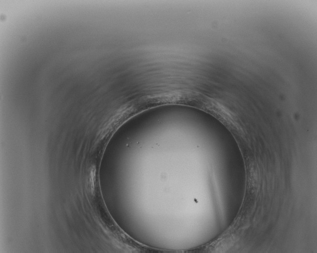 X0000068840118200605121416