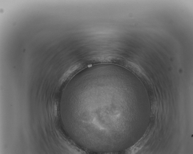 X0000068840120200605121416