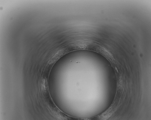 X0000068840122200605121416