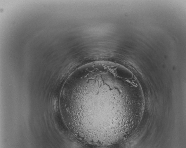 X0000068840123200605121416