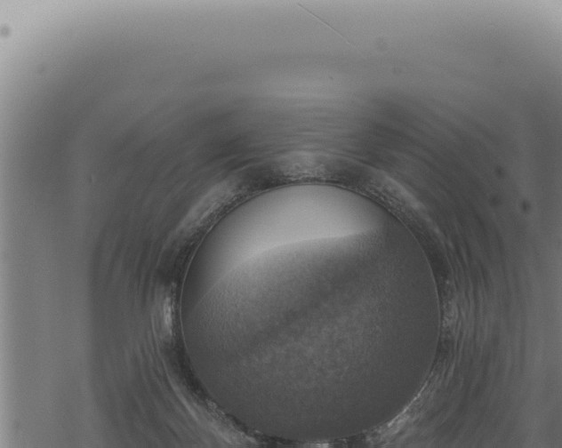 X0000068840124200605121416