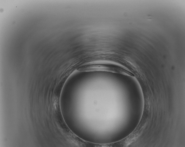 X0000068840125200605121416