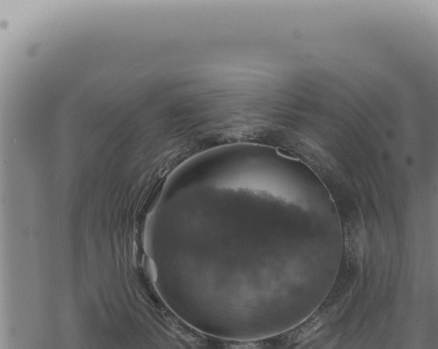 X0000068840127200605121416